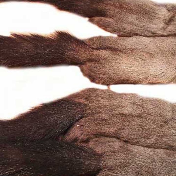 SHAWL, RUSSIAN SQUIRREL, 1957, GREY BACKS/WHITE BELLIES, EACH OF THE FOUR IS 28 - Picture 8 of 11